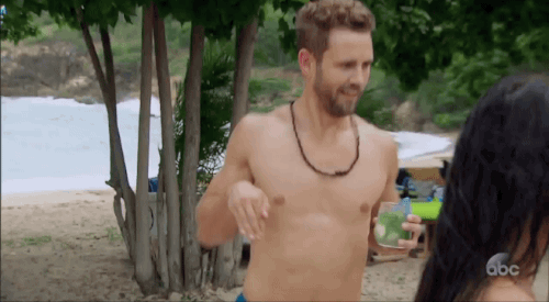 Nick Viall Drunk Dinosaur.gif